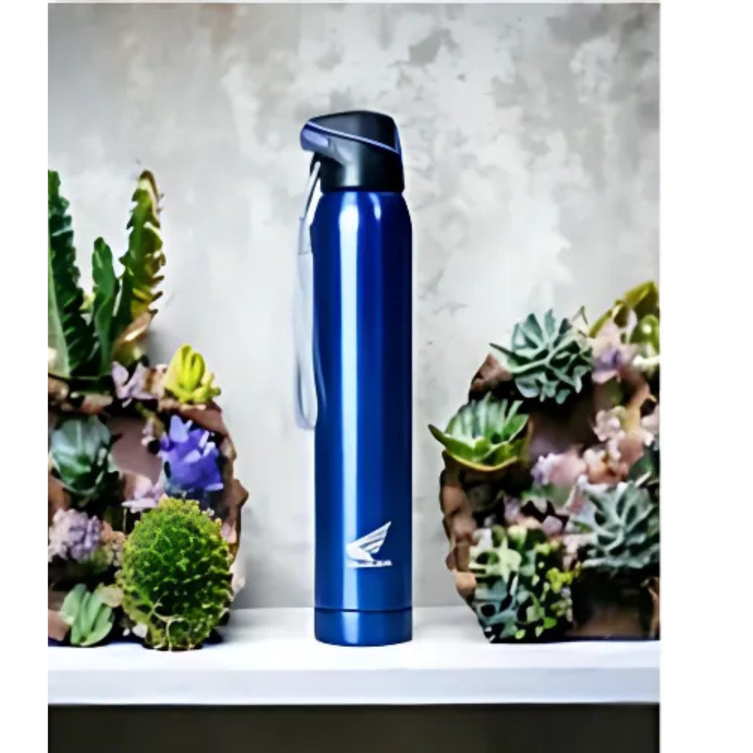 Vacuum Flask 29.1