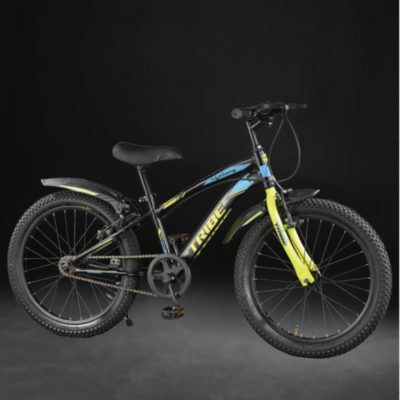 LLBC2001 Lifelong Tribe 20T Cycle